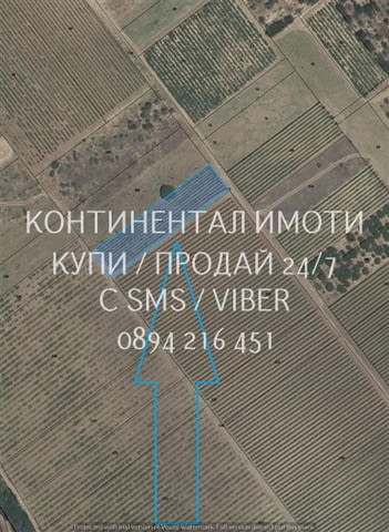 Код 63158. Лозе 2300м2, разположено в местност Трасилица, землище с дългогодишни традиции в лозарств - снимка 1