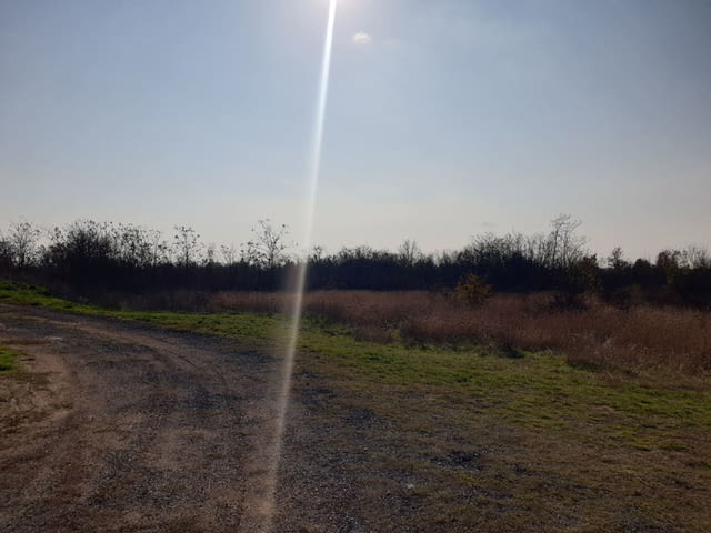 Продавам земя в землището на с. Пъдарско 135000 m2, Land - city of Vеliki Prеslav | Land - снимка 4