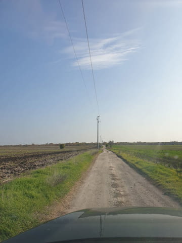 Продавам земя в землището на с. Пъдарско 135000 m2, Land - city of Vеliki Prеslav | Land - снимка 6