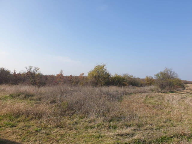 Продавам земя в землището на с. Пъдарско 135000 m2, Land - city of Vеliki Prеslav | Land - снимка 7
