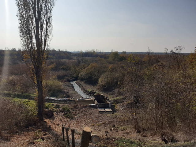 Продавам земя в землището на с. Пъдарско 135000 m2, Land - city of Vеliki Prеslav | Land - снимка 8