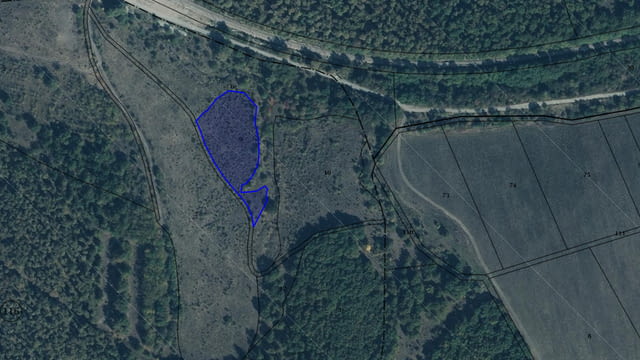 Продавам 31, 755 дка земя в землището на с. Лозарево, city of Vеliki Prеslav - снимка 1