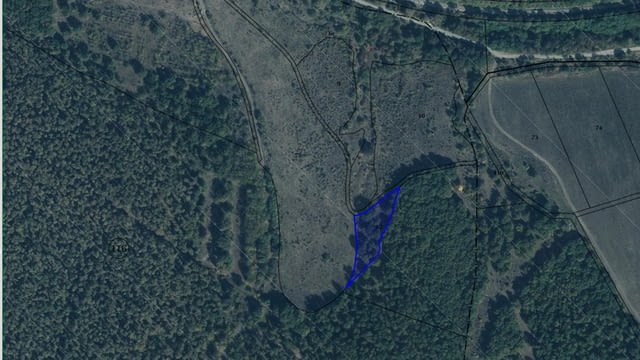 Продавам 31, 755 дка земя в землището на с. Лозарево, city of Vеliki Prеslav - снимка 3