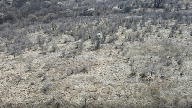 Продавам 31, 755 дка земя в землището на с. Лозарево, city of Vеliki Prеslav - снимка 5