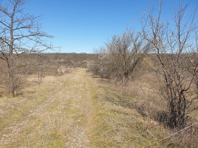 Продавам 31, 755 дка земя в землището на с. Лозарево, city of Vеliki Prеslav - снимка 9