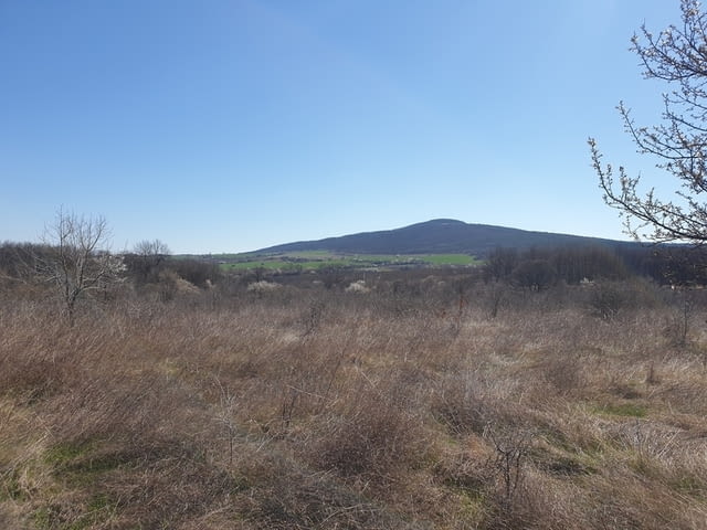 Продавам 31, 755 дка земя в землището на с. Лозарево, city of Vеliki Prеslav - снимка 10