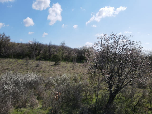 Продавам 7, 688 дка земя в землището на гр. Сунгурларе, city of Vеliki Prеslav - снимка 8