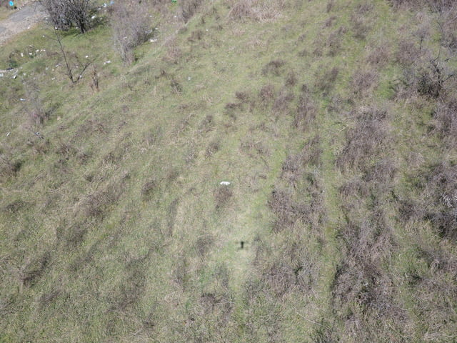 Продавам 7, 688 дка земя в землището на гр. Сунгурларе, city of Vеliki Prеslav - снимка 9