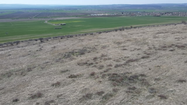 Продавам 30 дка земя в землището на с. Вълчин, city of Vеliki Prеslav | Land - снимка 9