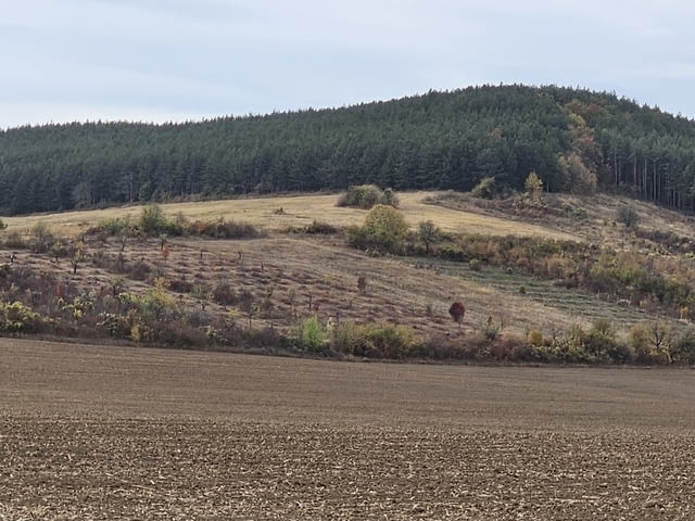 Продавам 11, 299 дка земя в землището на с. Имренчево, city of Vеliki Prеslav - снимка 1