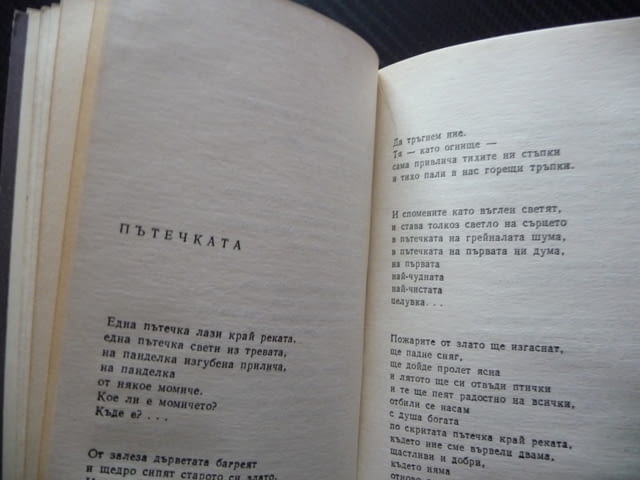 Другар за другаря Димитър Бозаков стихове българска поезия ДВИ Държавно военно издателство рядка 66г - снимка 3