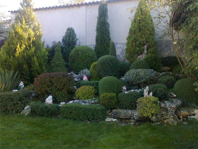 Озеленяване и поддръжка на градини - град София | Градина - снимка 1