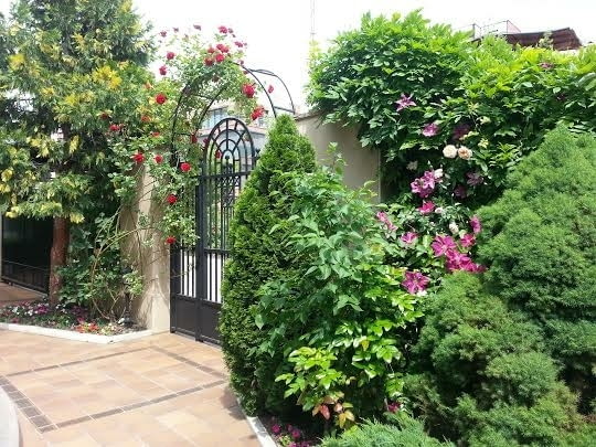 Озеленяване и поддръжка на градини - град София | Градина - снимка 5