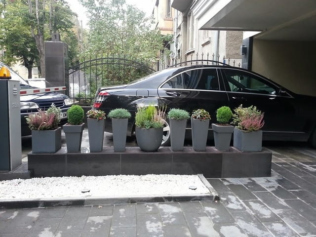 Озеленяване и поддръжка на градини - град София | Градина - снимка 6