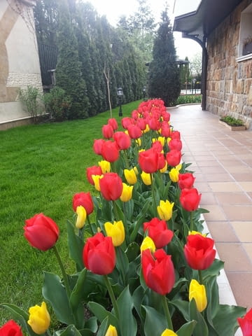 Озеленяване и поддръжка на градини - град София | Градина - снимка 7