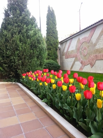 Озеленяване и поддръжка на градини - град София | Градина - снимка 8