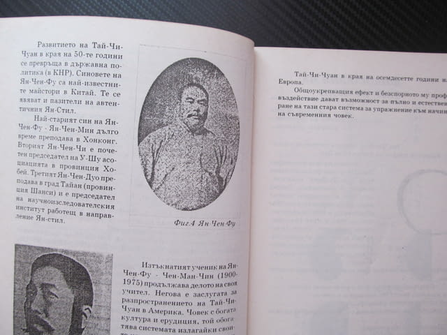 Тай-Чи-Чуан. Юмрукът на великия предел Ян стил история философия градивна структура Осемте перли дъл - снимка 2