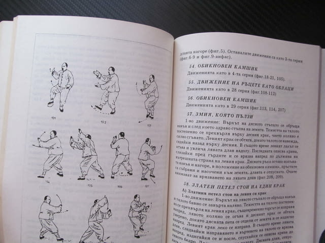 Тай-Чи-Чуан. Юмрукът на великия предел Ян стил история философия градивна структура Осемте перли дъл - снимка 3