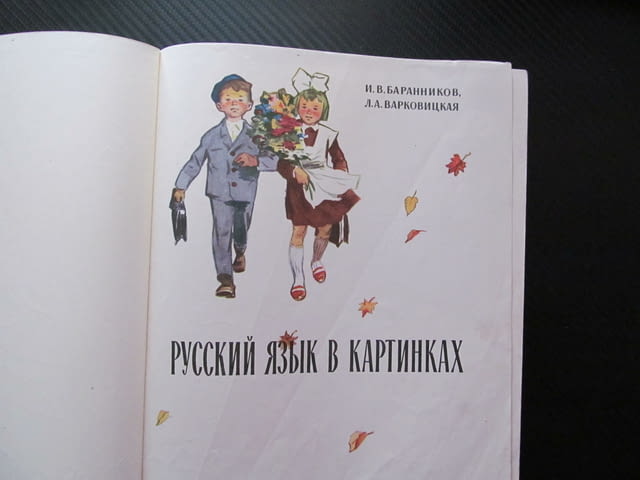 Русский язык в картинках Руски език в картинки семейство животни говорене четене писане дрехи градин - снимка 2