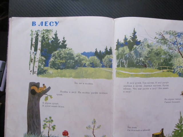 Русский язык в картинках Руски език в картинки семейство животни говорене четене писане дрехи градин - снимка 6