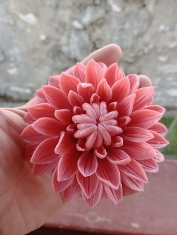 Декоративен, ароматен, карвинг сапун с форма на цвете далия, свежест и настроение за всеки дом - снимка 5