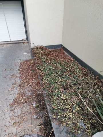 Поддръжка/Рязане на овошки и опасни дървета/Почистване на терени/Пръскане и изкореняване - снимка 8