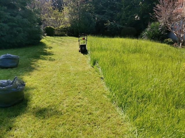 Поддръжка/Рязане на овошки и опасни дървета/Почистване на терени/Пръскане и изкореняване - снимка 10