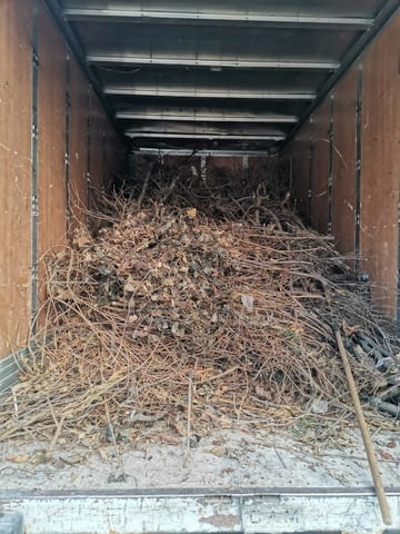 Поддръжка/Рязане на овошки и опасни дървета/Почистване на терени/Пръскане и изкореняване - снимка 12