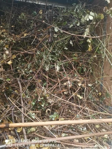 Изхвърляне на растителност 60 -260€ (корени, храсти, клони и трева) - снимка 4