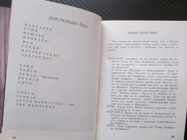 Котка върху горещ ламаринен покрив Пиеса в три действия Тенеси Уилямс сезон 1981/1982 театър актьори - снимка 3