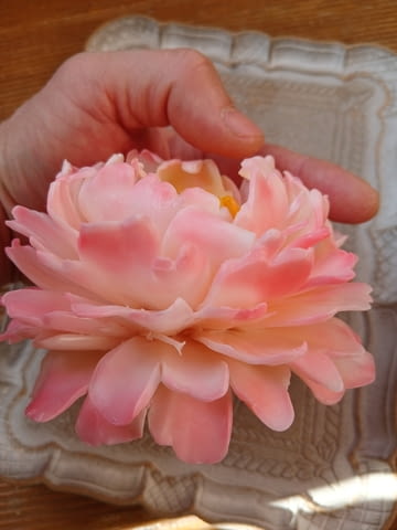 Декоративен сапун с форма на божур, подарък за 8ми март и други поводи - снимка 2