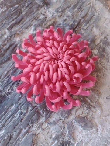 Декоративен сапун хризантема, ръчна изработка с внимание към детайла, подарък за 8ми март - снимка 1