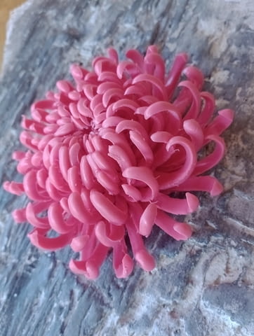 Декоративен сапун хризантема, ръчна изработка с внимание към детайла, подарък за 8ми март - снимка 2