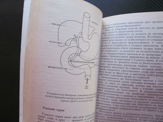 Основни принципи на разделното хранене сигурни проверени диети хранителни комбинации храносмилане - снимка 2