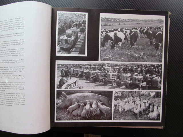 Подмосковье Фотоальбом И. Липовецкая фотоалбум индустрия култура природа снимки Русия Руско ежеднев - снимка 2