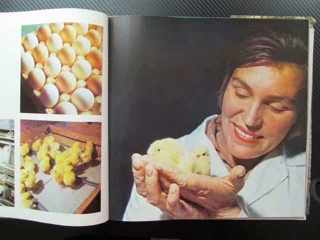 Подмосковье Фотоальбом И. Липовецкая фотоалбум индустрия култура природа снимки Русия Руско ежеднев - снимка 3