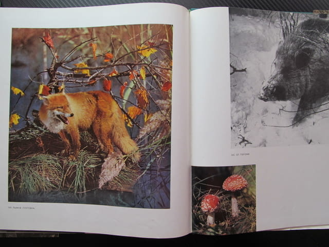 Подмосковье Фотоальбом И. Липовецкая фотоалбум индустрия култура природа снимки Русия Руско ежеднев - снимка 5