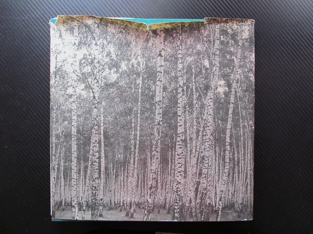 Подмосковье Фотоальбом И. Липовецкая фотоалбум индустрия култура природа снимки Русия Руско ежеднев - снимка 6