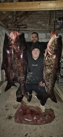 Електровъдици - град Велико Търново | Лов / Риболов - снимка 4