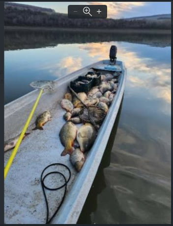 Електровъдици - град Велико Търново | Лов / Риболов - снимка 5