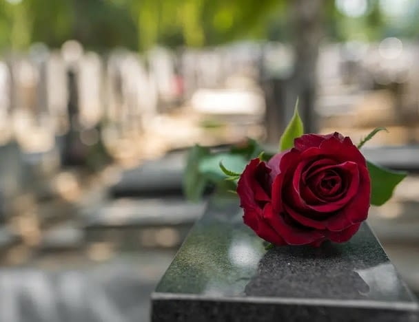 Погребална агенция ЕМИЛИ – коректност и грижа - град София | Траурни - снимка 1