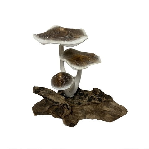 Подаръци стилни и красиви - град Пловдив | Дом и Градина - снимка 8