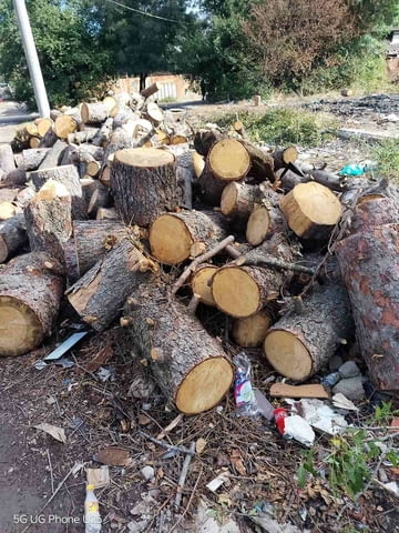 Хамали Експрес - city of Sofia | Cleaning Tools - снимка 8