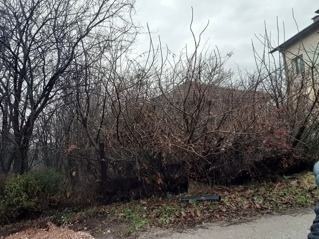 Хамали Експрес - city of Sofia | Cleaning Tools - снимка 12