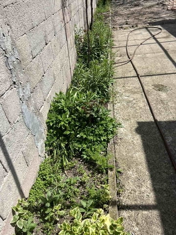 Къща с двор в кв.Болярово, гр.Хасково 1-етажна, Тухла, 149 м2 - град Хасково | Къщи / Вили - снимка 7