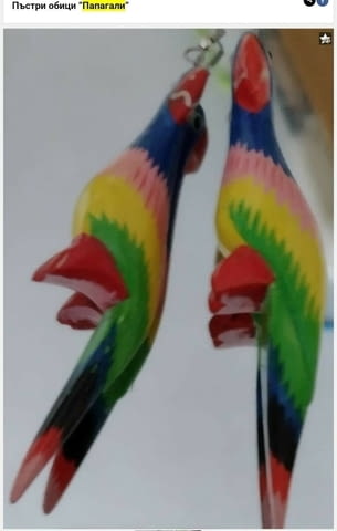 Пъстри обици Папагали - град Монтана | Обеци - снимка 1