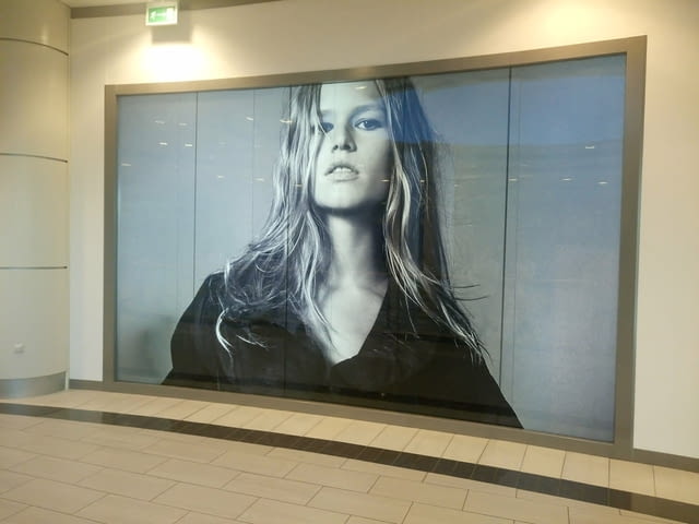 Рекламно, перфо и пясъкоструйно фолио - Монтаж и демонтаж, град София | Рекламни - снимка 1