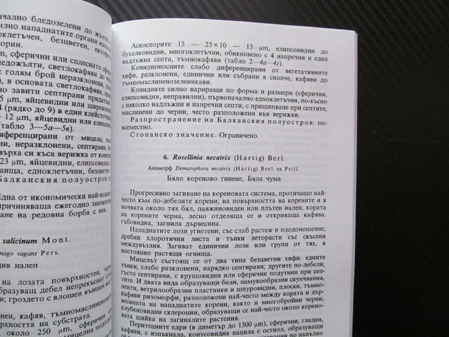 Паразитни гъби по лозата на Балканския полуостров Симеон Ванев гъбни болести лозе реколта плод лозя - снимка 2