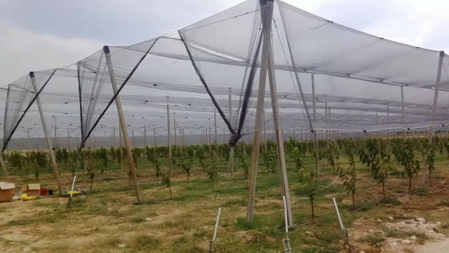 СКАЙ ПРОТЕКТ – Мрежи за селското стопанство и строителството, село Търновлаг - снимка 2