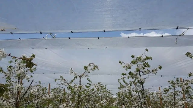 СКАЙ ПРОТЕКТ – Мрежи за селското стопанство и строителството, село Търновлаг - снимка 3